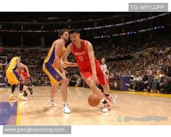 姚明姐贵的传奇人生与篮球梦想背后的不为人知的故事