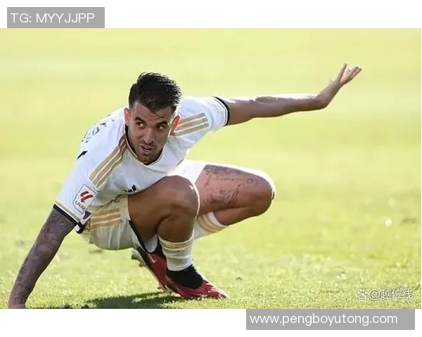 西班牙足球的璀璨星辰十位传奇球员的精彩人生与成就解析